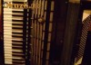 Acordeon Weltmeister S5