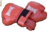 Manusi de box