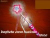 Bagheta muzicala zana, printesa