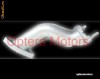 Flansa admisie carburator motor 200cc Atv China