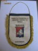 FANION DE COLECTIE D.M.P.T.S.BUCURESTI DIN ANII 90