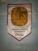 363 Fanion Fortele Armate ale Germaniei de Est (pentatlon -DDR)