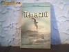 temerarii ionel chiru
