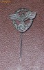 INSIGNA NAZISTA
