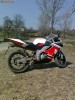 Vand derbi gpr 50 racing an 2008