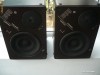 BOXE RFT  K13PROFI L 100watts Studio monitor 299LEI