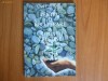 pentru recuperare credintei crestine carl henry pentru recuperare credintei crestine carl henry