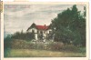 baile episcopiei vila romzsik circulata 1928