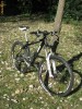 KTM Ultra Trail, Rock Shox Revelation, Mavic Crossride, SRAM X9, Avid, Schwalbe