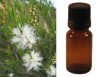Ulei esential BIO de tea tree