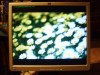 LCD Monitor HP-1740