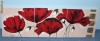 TABLOU MACI 120/40 cm -Pictat-