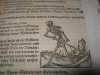 Cosmografia Munster sec 16
