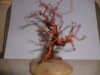 HAND MADE BONSAI