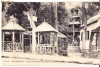 Carte postala - ROBINSON - Le Vrai Chataignier  - Circule a decouvert en 1913