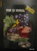 VIA SI VINUL - AVRAM TUDOSIE, LAURENTIU TUDOSIE