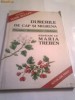 MARIA TREBEN - DURERILE DE CAP SI MIGRENA