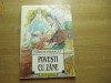 POVESTI CU ZANE-CHARLES PERRAULT