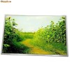 display laptop 8.9