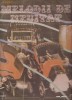 MELODII DE NEUITAT ~LP VINIL