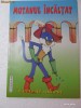 CARTE DE COLORAT CU POVESTE SI ILUSTRATII - MOTANUL INCALTAT