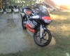 VAND Aprilia rs 50 ..pregatita de sezon !URGENT !!!
