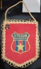 FANION + INSIGNA / PIN STEAUA BUCURESTI 1978-1981