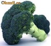 Seminte Broccoli Waltham Seminte Broccoli Waltham
