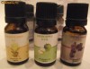 Uleiuri din plante pentru aromaterapie - vasele de aromaterapie; sanatate; casa