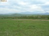 Teren Tohanita - pentru casa de vacanta Teren Tohanita - pentru casa de vacanta