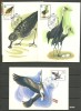 U.R.S.S. - Pasari, carti postale maxime 1982