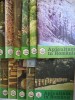REVISTA APICULTURA IN ROMANIA {1984 - 11 numere, lipsa NOIEMBRIE}