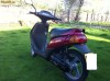 Vand moped MALAGUTI - ZJM 42/D CENTRO
