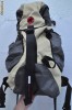 RUCSAC MAMMUT RUCSAC MAMMUT