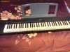 Vand/Schimb Pian digital Yamaha NP30 - 76 clape (6,5 octave)