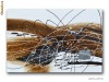 Tablou ABSTRACT 62 - ulei pe panza 90x60cm