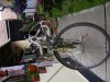 Semicursiera import