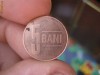 5 BANI 2006
