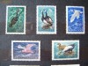 Timbre nestampilate pasari Rusia 1972 - URSS