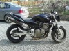 Honda Hornet