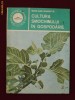 Mari-Ann Dobrota - Cultura smochinului in gospodarie - 9532