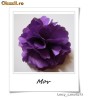 Brosa/ Accesoriu par/ Floare de par/ Brosa 2 in 1/ Brosa Floare/ Brosa Camilla