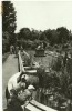 Cluj - gradina botanica 2, 1968