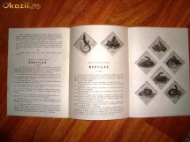 Pliant prezentare REPTILE 1965 Romfilatelia foto