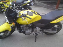 Honda Hornet