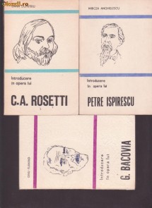 INTRODUCERE IN OPERA LUI C.A.ROSETTI-DANA DUMITRU foto