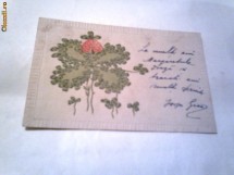 Carte Postala - Trifoi  pentru anul 1907     Circulata foto