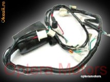 Instalatie electrica pentru Atv 110-125cc.