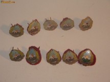 LOT ZECE STEME /EMBLEMA / CUC CASCHETA   MILITARE RSR foto