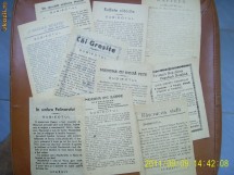 Lot 10 programe film